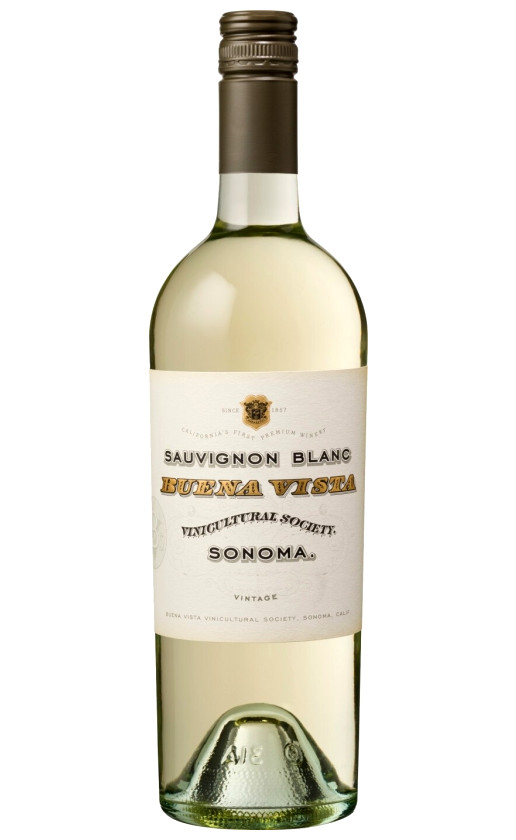 Buena Vista Sonoma Sauvignon Blanc 2013