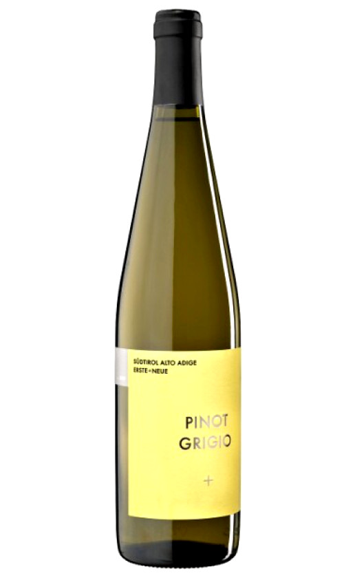 Erste Neue Kellerei Pinot Grigio Alto Adige 2010