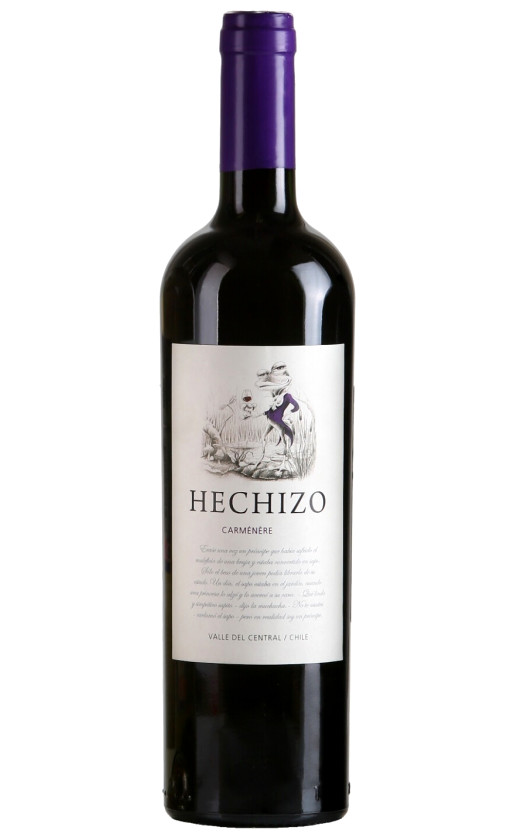 Hechizo Carmenere Central Valley