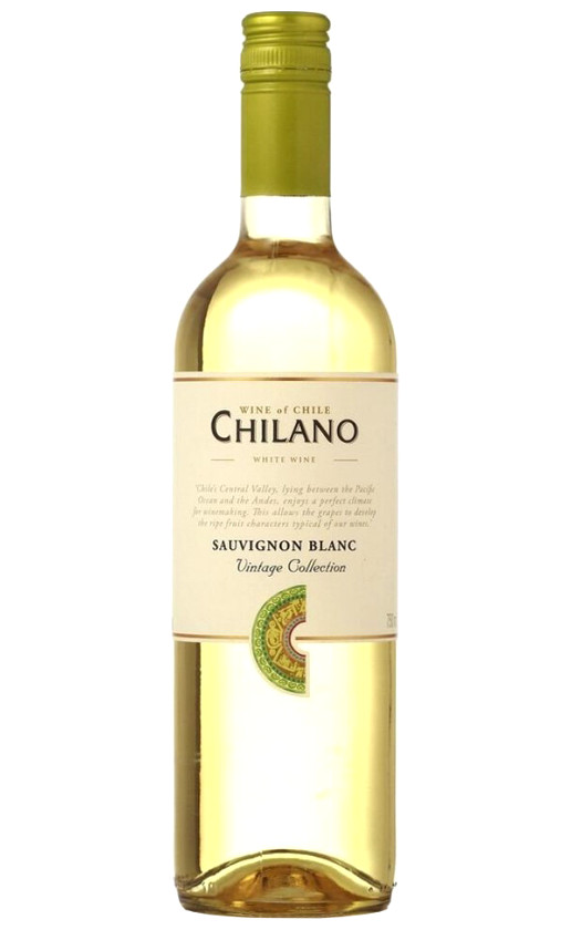 Vinedos y Frutales Chilano Sauvignon Blanc Central Valley